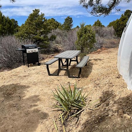 Canyon Rim Domes - A Luxury Glamping Experience!! Monticello Bagian luar foto